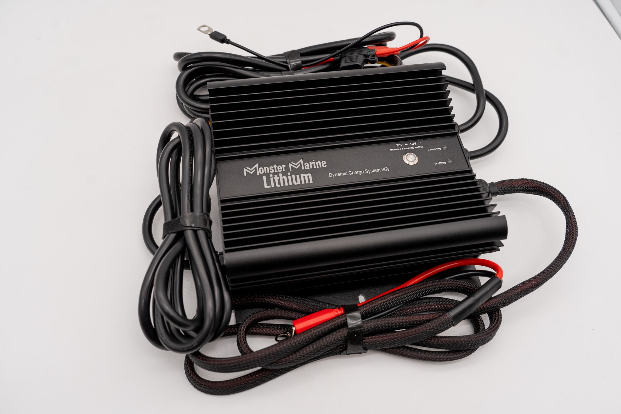 Dynamic Charge System 36V "The Ultimate Dual Charger"